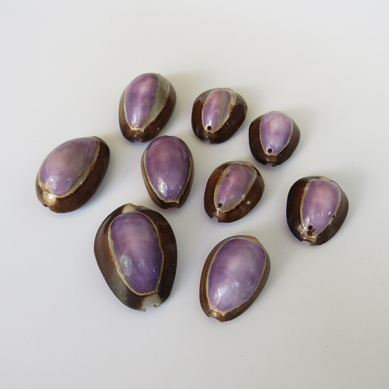 打孔小贝雪山紫宝螺 工艺挂件装饰品小螺贝 工艺品雪山紫宝螺原料