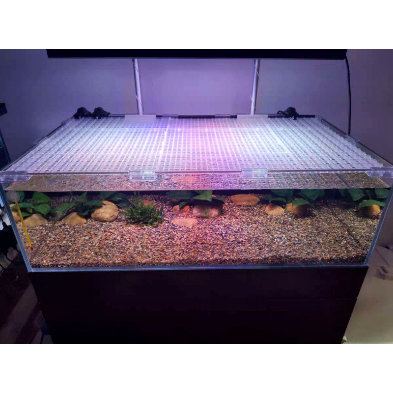 鱼缸隔板网格板鱼材料剪裁隔离板多功能亚克力挡板拼接养殖滤材