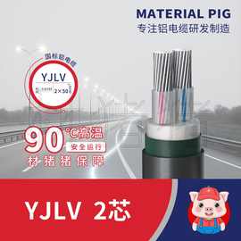 国标铝芯电缆YJLV2芯电力电缆线三相四线高压铠装3芯低烟无卤线