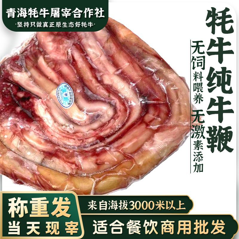 现宰牦牛鞭纯牛鞭不含蛋甘肃临夏全套新鲜速冻整只牛三宝整套
