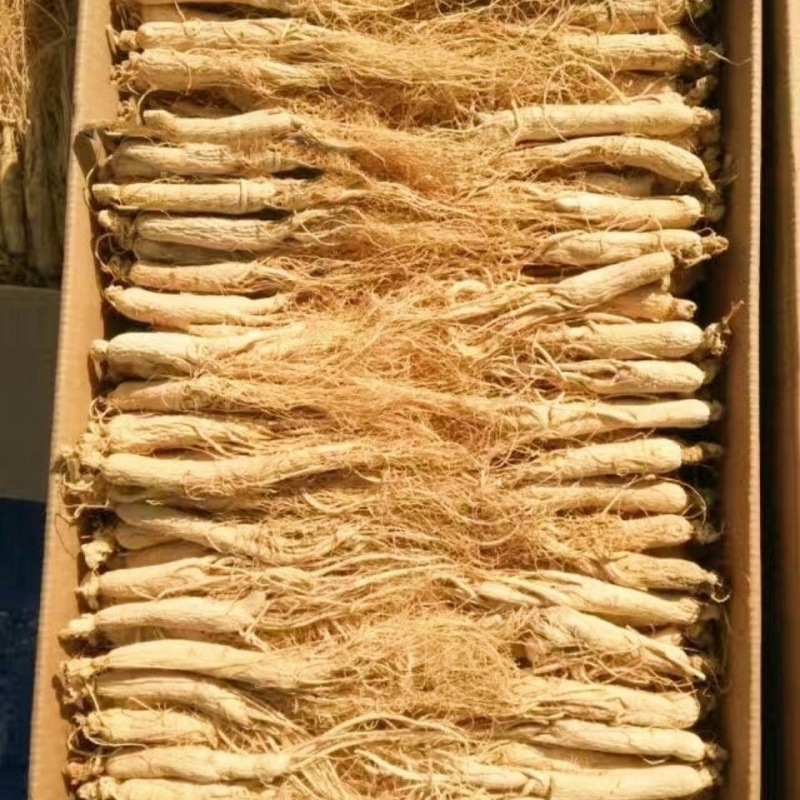 干人参长白山人参东北特产煲汤泡酒人参生晒参白参人参长跨境代发