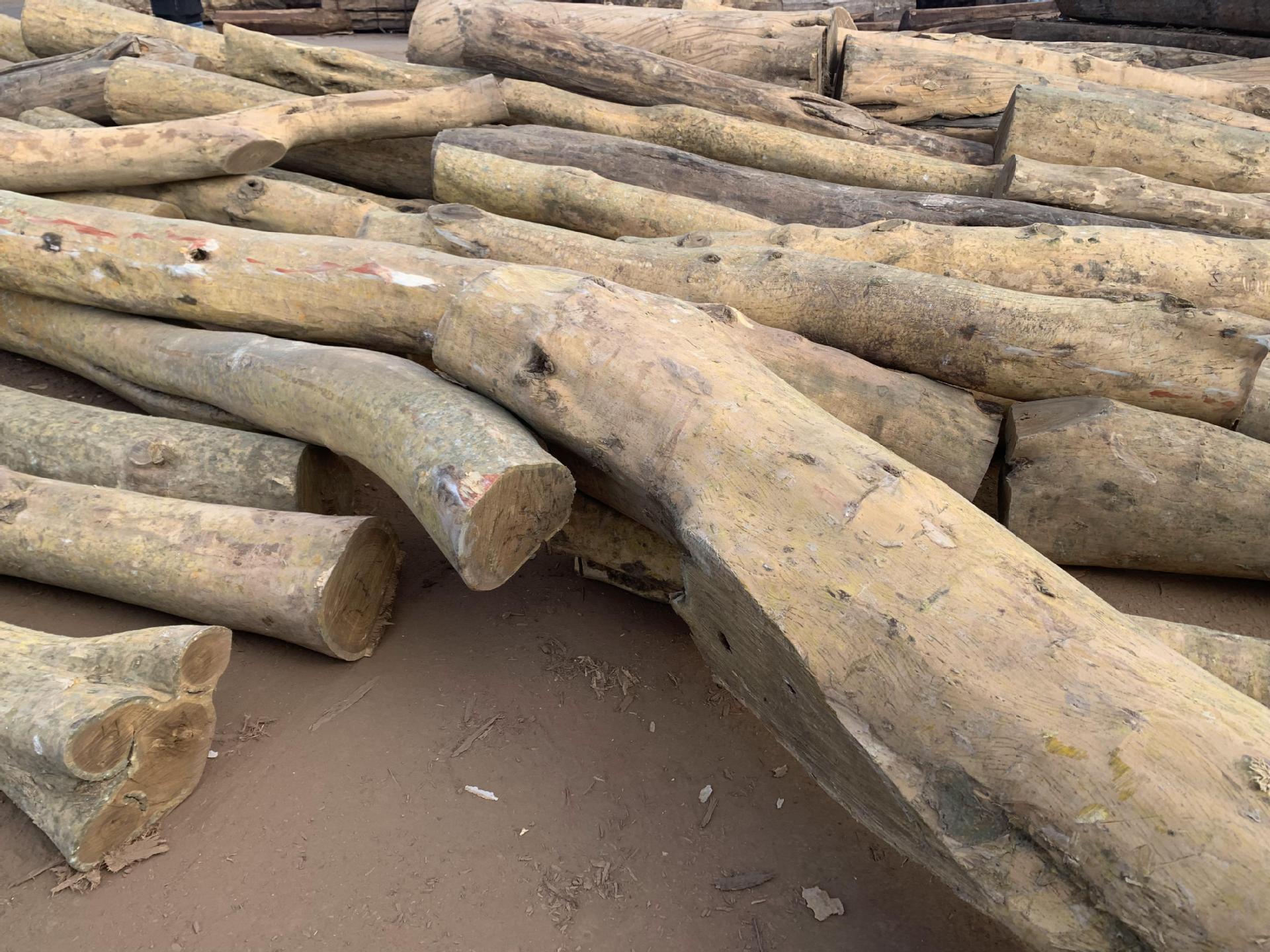 现货阿根廷绿檀原木板材 愈疮木南美木料刺猬紫檀绿檀家具料批发