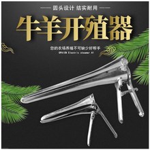 牛羊开腔器开殖器兽用开膣器牛羊阴道扩张器输精人工授精养殖畜牧