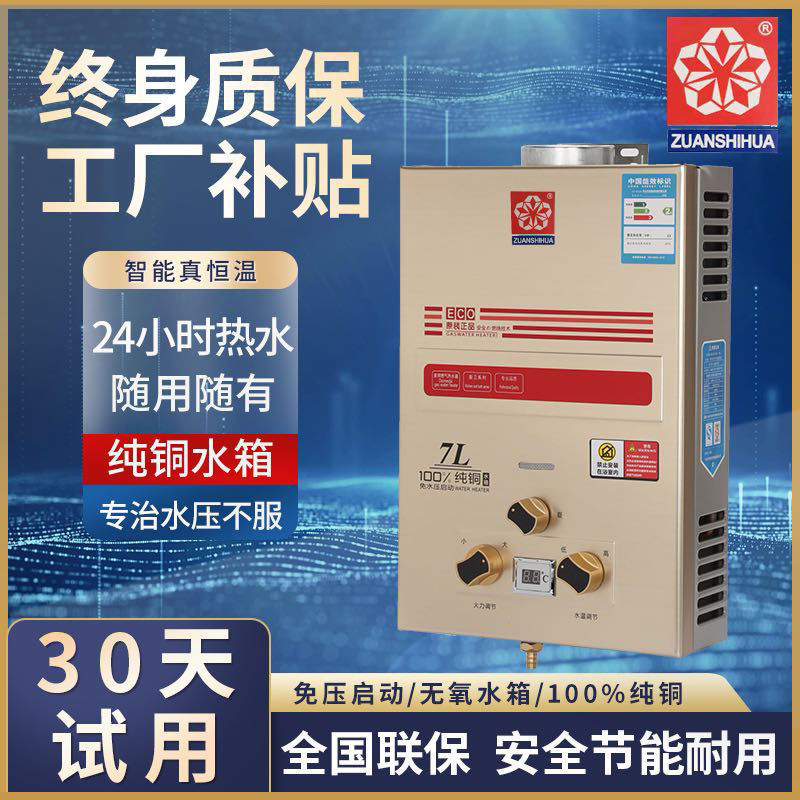 家用燃气热水器瓶装煤气天然气液化气6升8升10升强排烟道式出租房