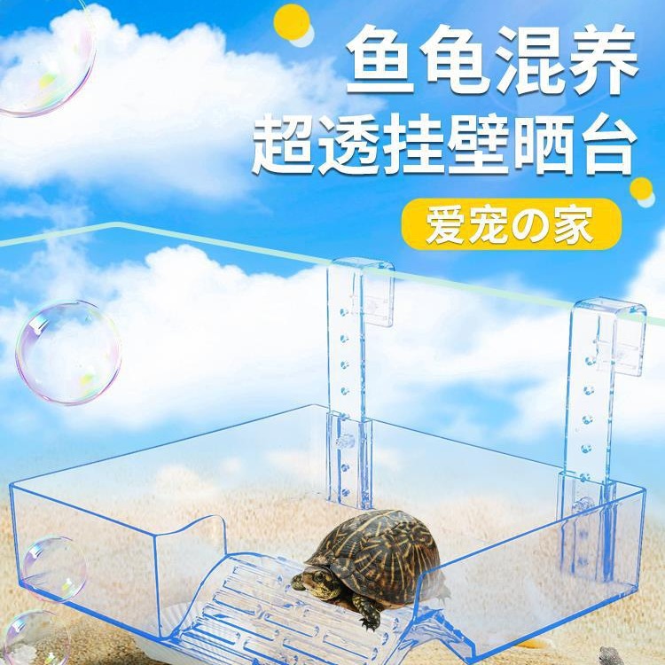 乌龟挂壁式晒台透明晒背台亚克力巴西龟爬台爬坡龟缸高水位浮台