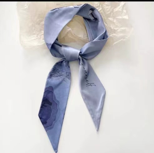 长条小丝巾女长条复古法式绑包包多功能春秋丝带百搭装饰双面发带