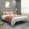 Nordic ins Simplicity golden Tieyi bed Double Metal frame bed 1.8 Master Bedroom steel beds