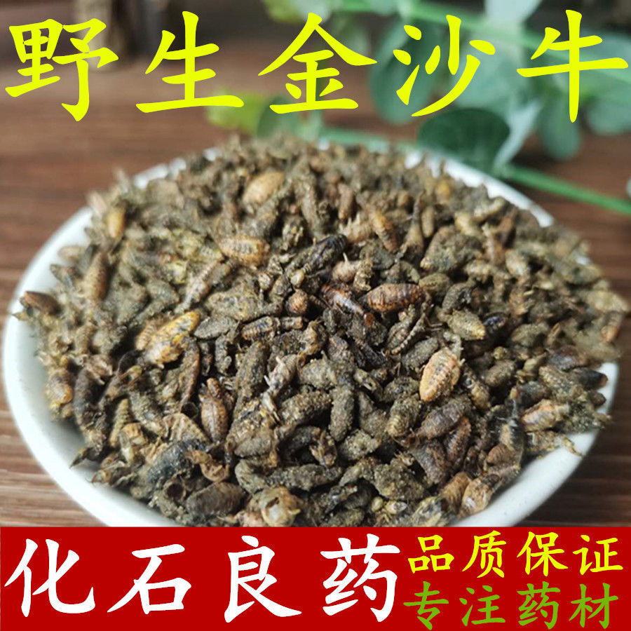 纯野生金沙牛 金砂牛蚂岭虫地牯牛蚁狮 干净无杂质10g包邮中药材