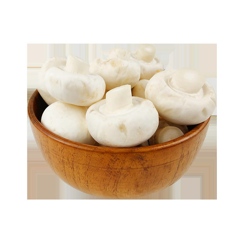 白蘑新鲜1件1斤口蘑双胞菇白蘑菇现摘发货冷链厂家批发绿色食用菌