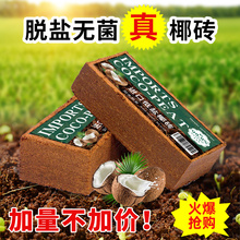 椰砖营养土养花阳台种菜脱盐种植椰土通用型土壤椰糠耶砖