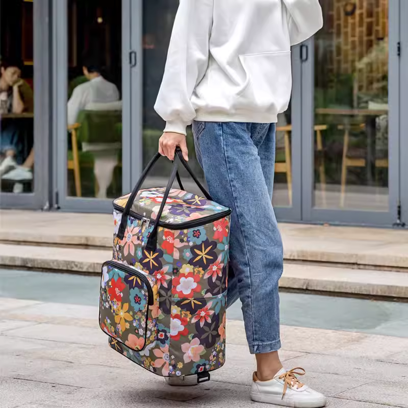 买菜拉杆包小拉车中年轻便可折叠大容量布袋超市便携购物车小推张-阿