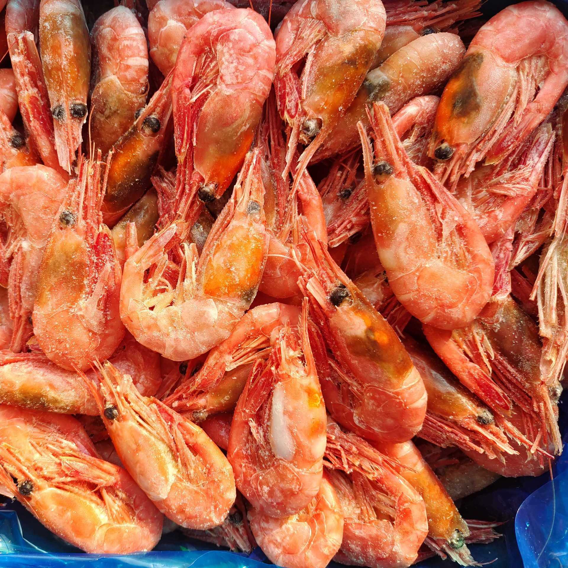 北极虾元宝虾甜虾特大号熟冻头腹籽头籽腹籽北极虾化冻即食
