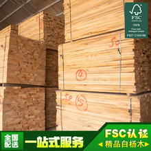 厂家直销FSC认证河南白杨木烘干板材白杨木厂家无结疤白杨木板材