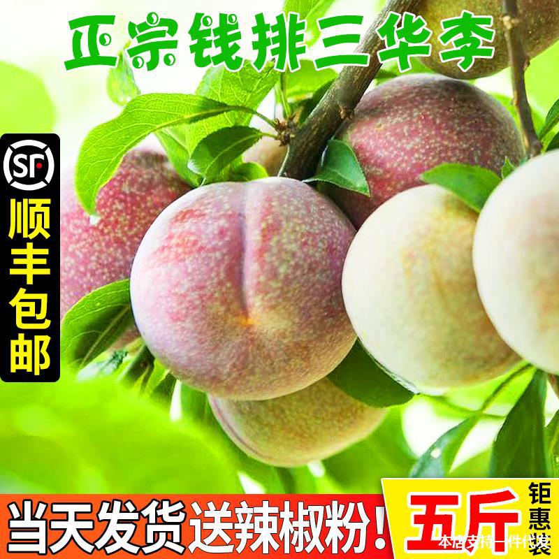 5斤装新鲜现货现发早熟三华李红心李信宜钱排孕妇水果李子-阿里巴巴