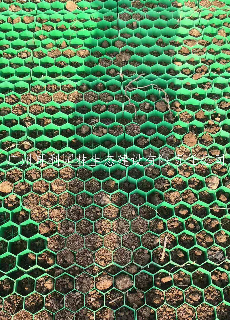 园林绿化工程植草格厂家现货排水性好维护简单蜂巢土工格室植草砖