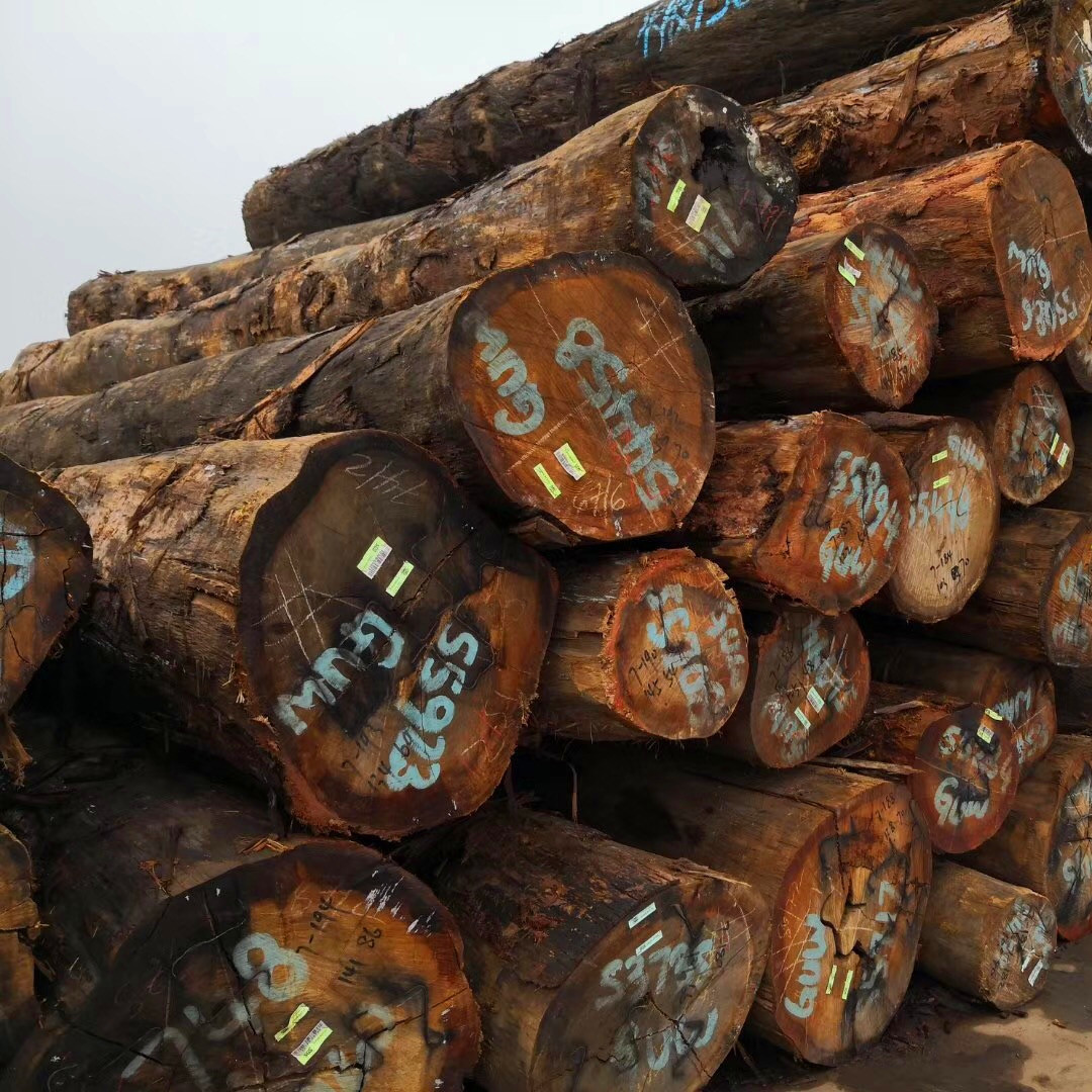 进口巴新水胶木原木 巴劳木水胶木园林建筑 木质优良 定尺加工