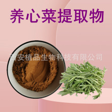 养心菜提取物20:1 养心菜粉 救心菜提取物  500g/袋