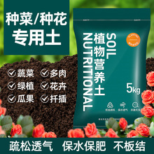 营养土种菜专用黑土壤养花土通用型多肉盆栽家用种植蔬菜泥炭种霜