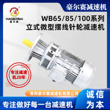 厂家供应微型摆线针轮减速机WB85WB100小型减速机减速电机减速器