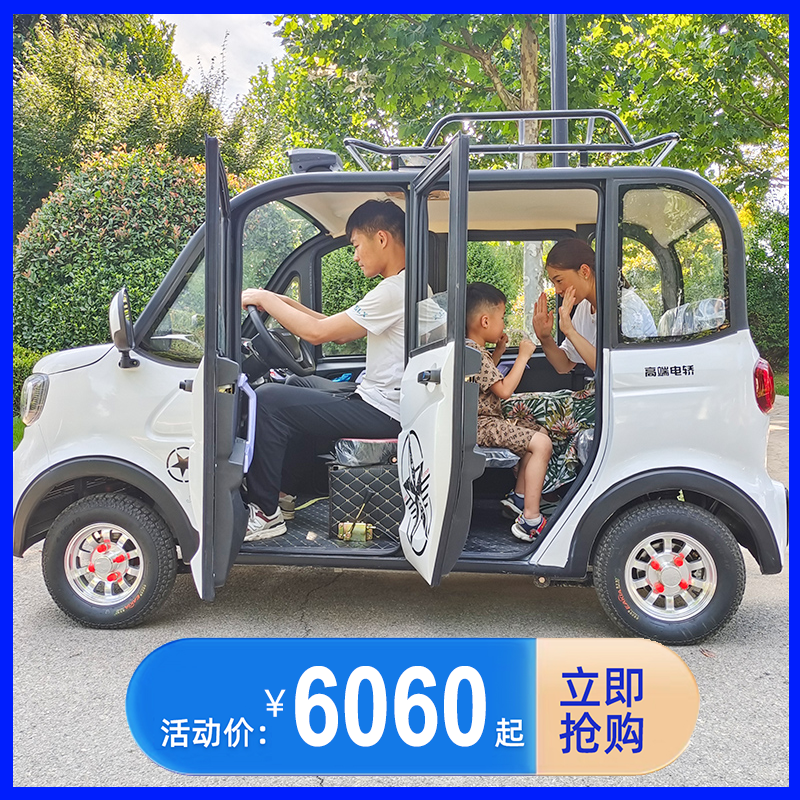 四轮电动车新款女电瓶车家用小型汽车代步车电动轿车学生低速油电