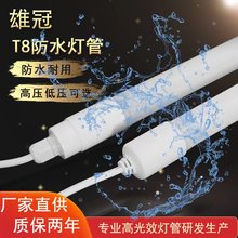 T8防水灯管led一体化广告发光招牌展示灯箱养殖场灯管低压12v可选