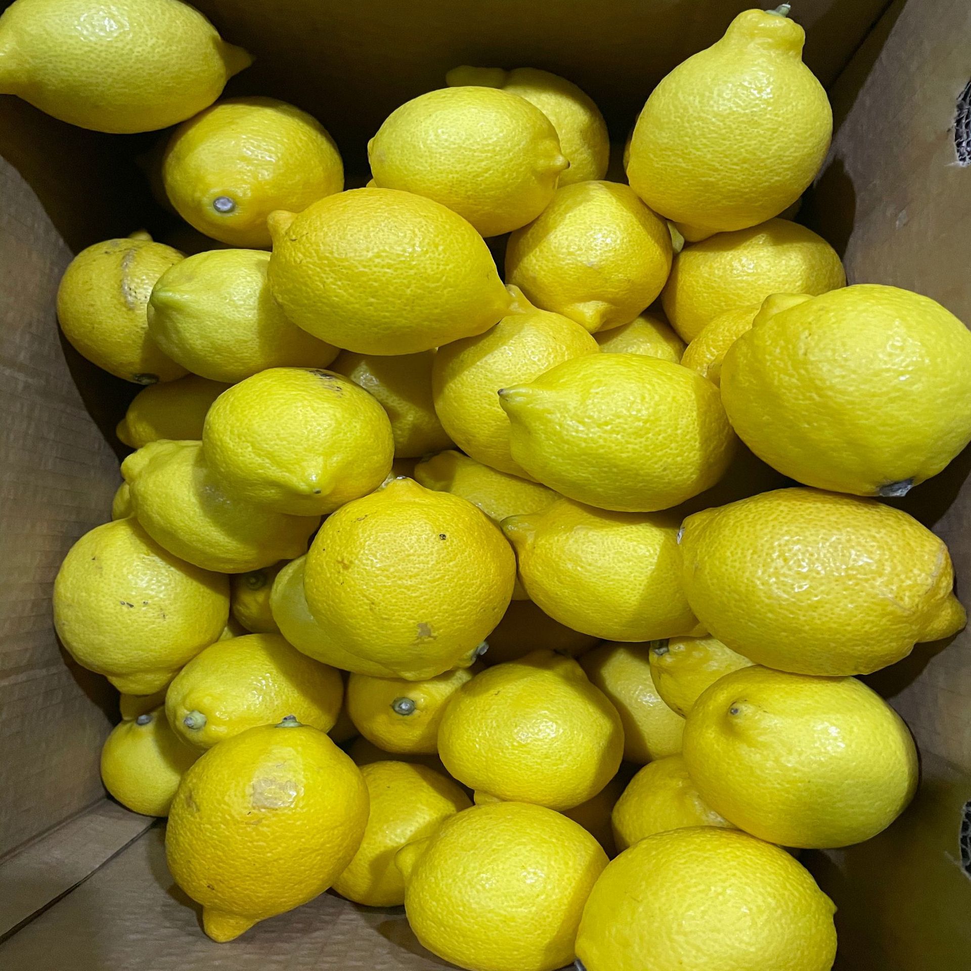 进口黄柠檬新鲜水果生鲜南非/智利/美国柠檬批发