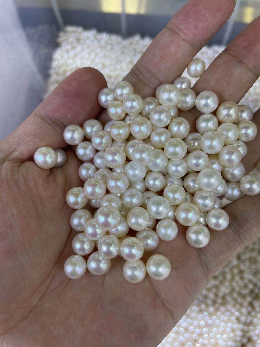7m62m淡水无核珍珠 天花板级别光线 基本无暇 极光 近正圆 正圆统