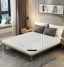 床垫椰棕床垫1.8m棕垫1.5米经济型棕垫硬薄床垫定 做折叠定 做