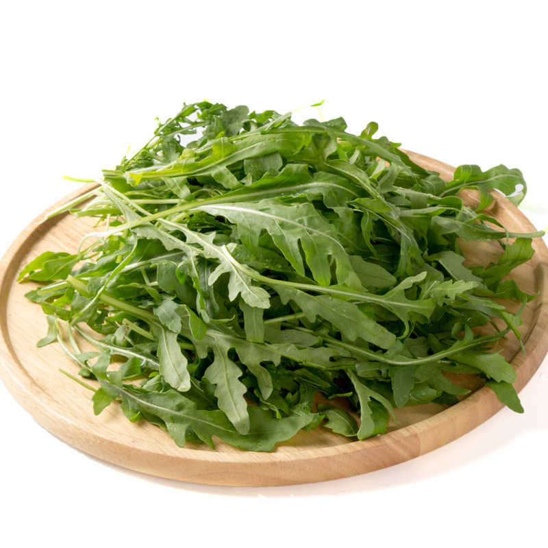 小叶芝麻菜种籽 芝麻蔬菜种子 春夏秋室外庭院蔬菜种子