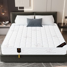 床垫经济型弹簧床垫软硬两用厚家用双人20cm米出租房