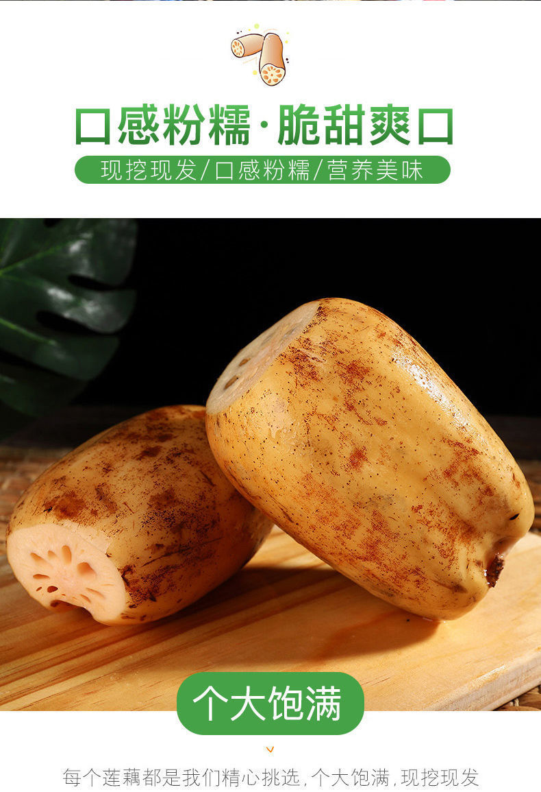 正宗洪湖脆藕新鲜嫩藕时令蔬菜湖北特产现挖九孔莲藕整箱