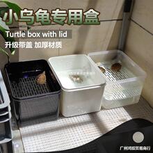 厂家直销隔离小型蛋收纳分离塑料养饲养鱼苗盒沙龟池小鱼乌龟发龟