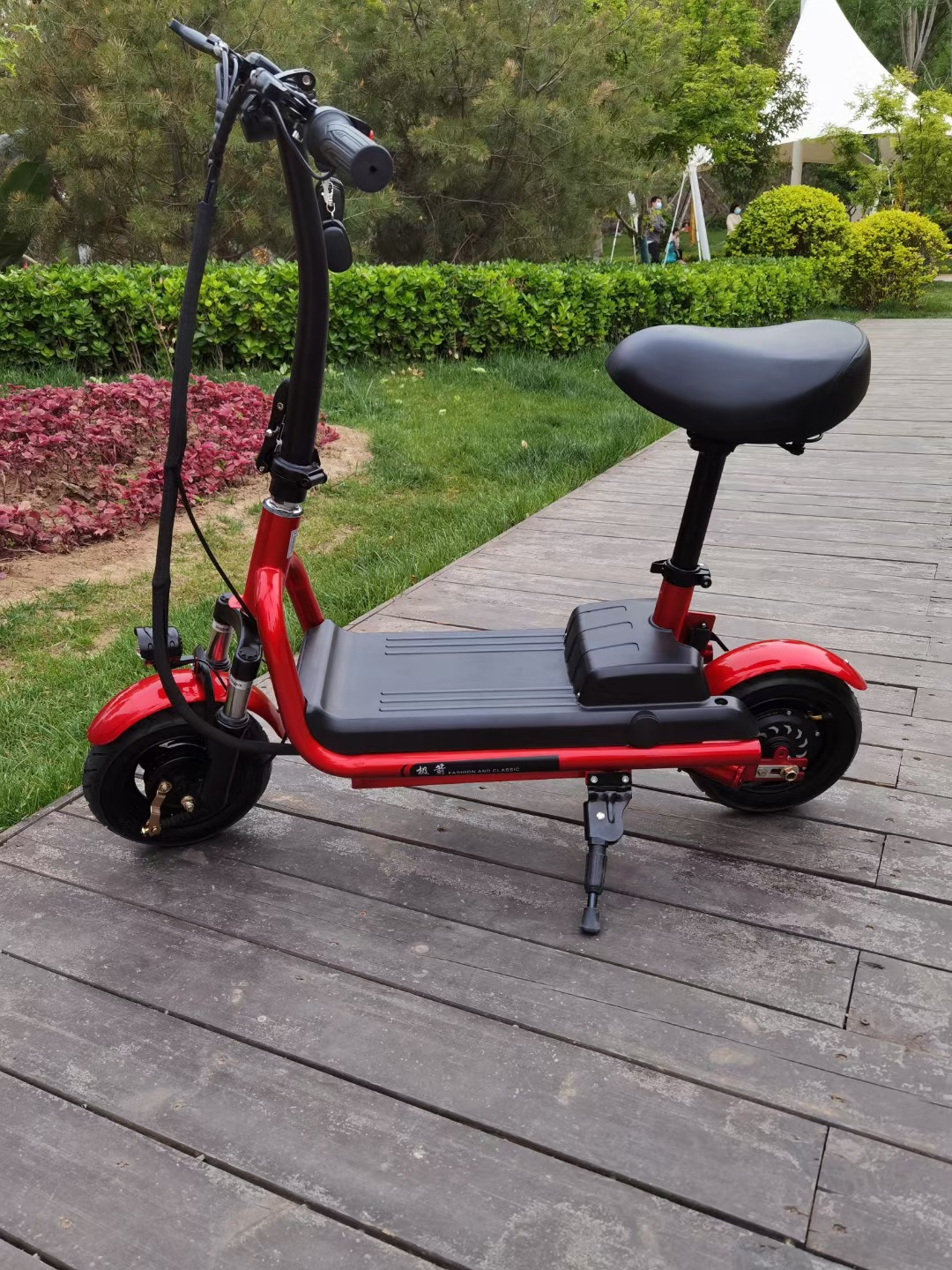 定制国标成人电动自行车两轮电瓶车轻便二轮双座电动车代步车