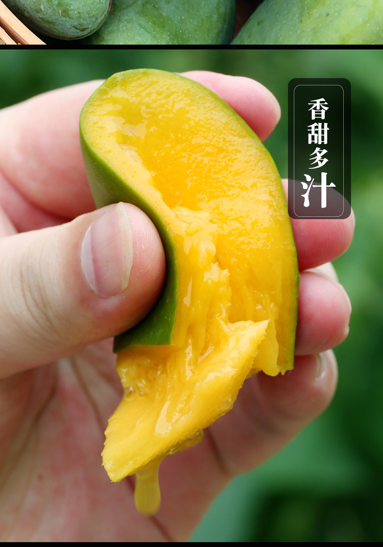广西百色田东桂七芒芒果热带水果新鲜当季3/10斤整箱现摘应季香芒
