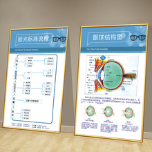验光流程图眼科医院配镜室广告海报眼球结构图眼镜店宣传装饰挂画