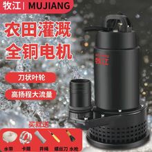 德式电瓶车切割直流泵污水泵12V48V60V化粪池抽粪家用灌溉浇