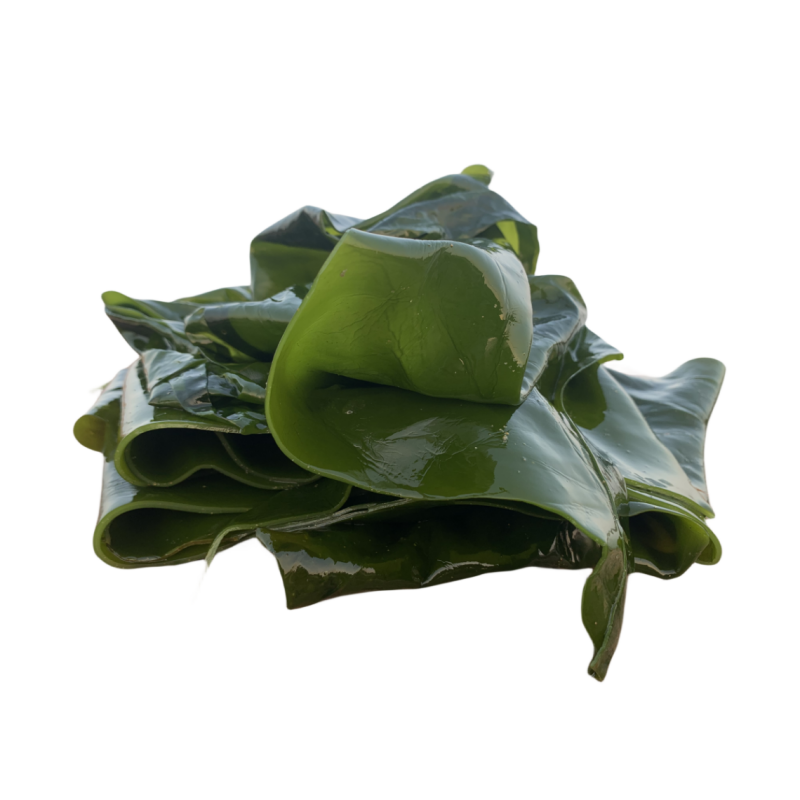 荣成新鲜野生盐渍海带边薄嫩凉拌火锅食材大片包饭菜煲汤商用海菜