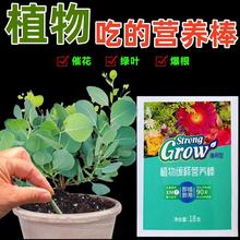 绿植肥缓释棒营养棒花肥料家用养花型盆栽植物棒状花卉缓释肥