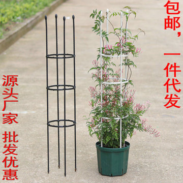 爬藤架花盆支架攀爬藤植物架月季园艺花架包邮一件代发批发打折