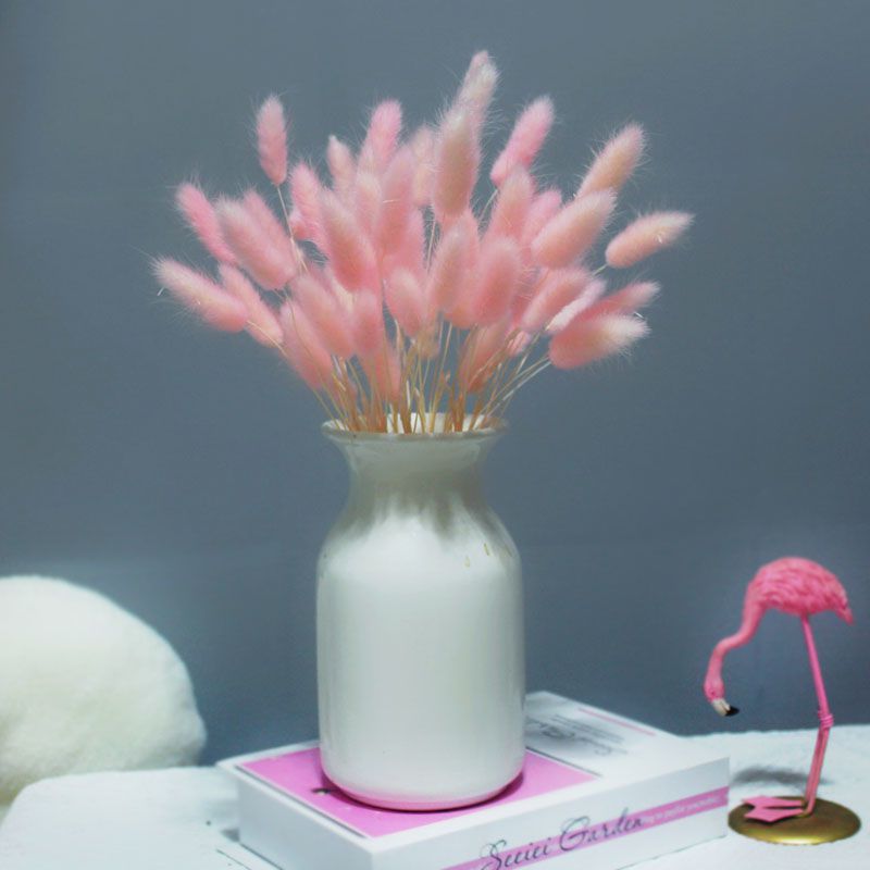 天然干花兔尾草粉色花束客厅装饰压花材料网红轻奢摆件拍摄道