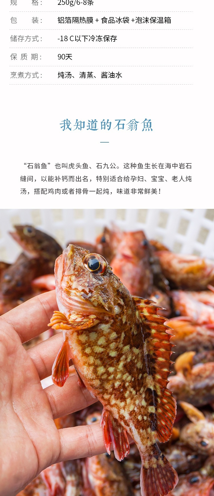 福建东山岛海鲜水产特产石翁鱼新鲜鲜活冷冻水产虎头鱼活冻石九公