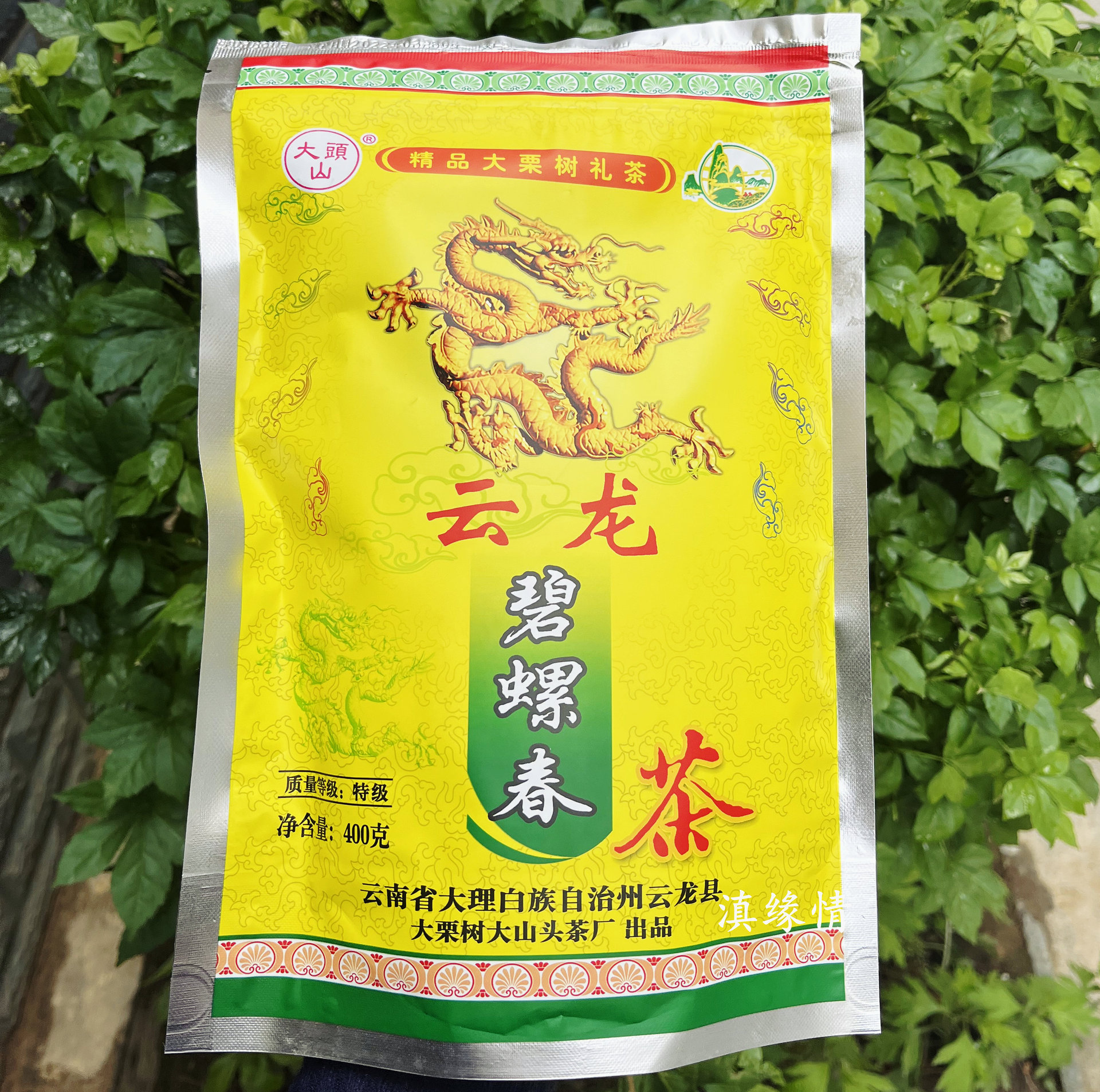 2023年新茶大栗树大山头云龙碧螺春茶绿茶特级400克袋装大理特产