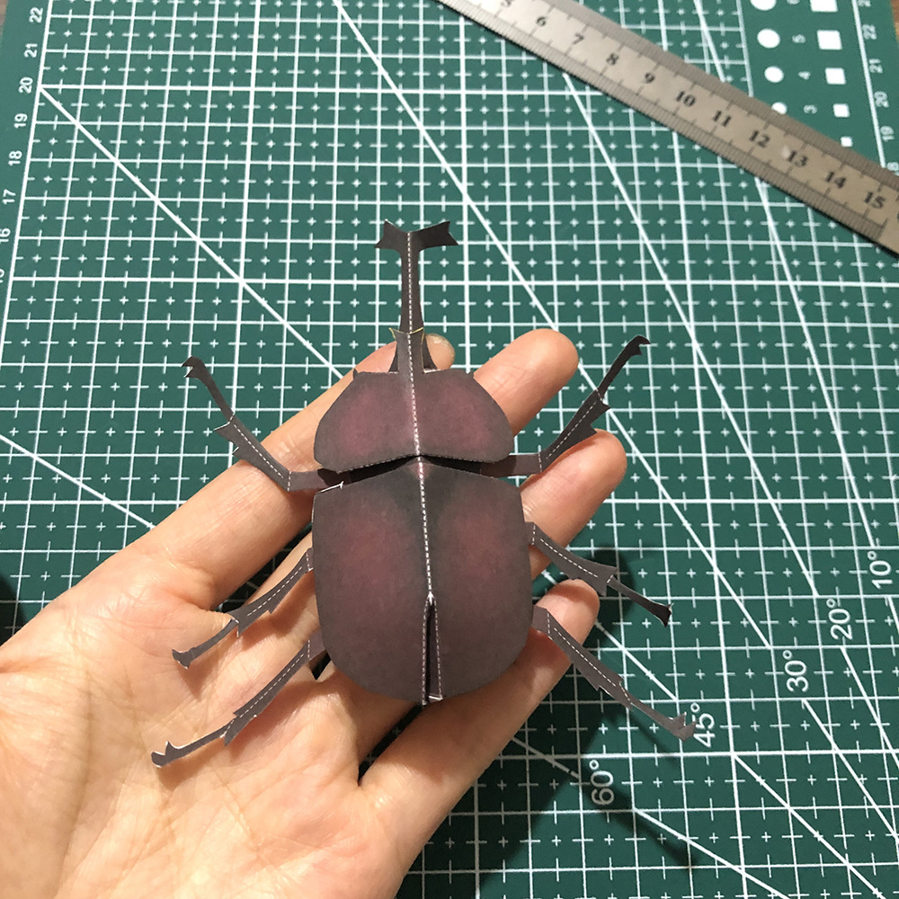 6件套独角仙 蝴蝶 蜻蜓 螳螂 昆虫纸模型 手工diy 学生活动 亲子