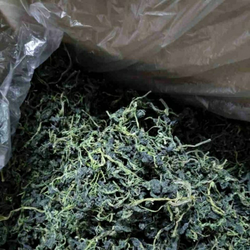 批发特级野生干灰灰菜宾馆酒店专用野菜250g/500g干菜脱水蔬菜