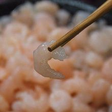 小虾仁包饺子无冰野生红虾仁海虾仁新鲜虾仁冷冻馄饨水饺专用批发