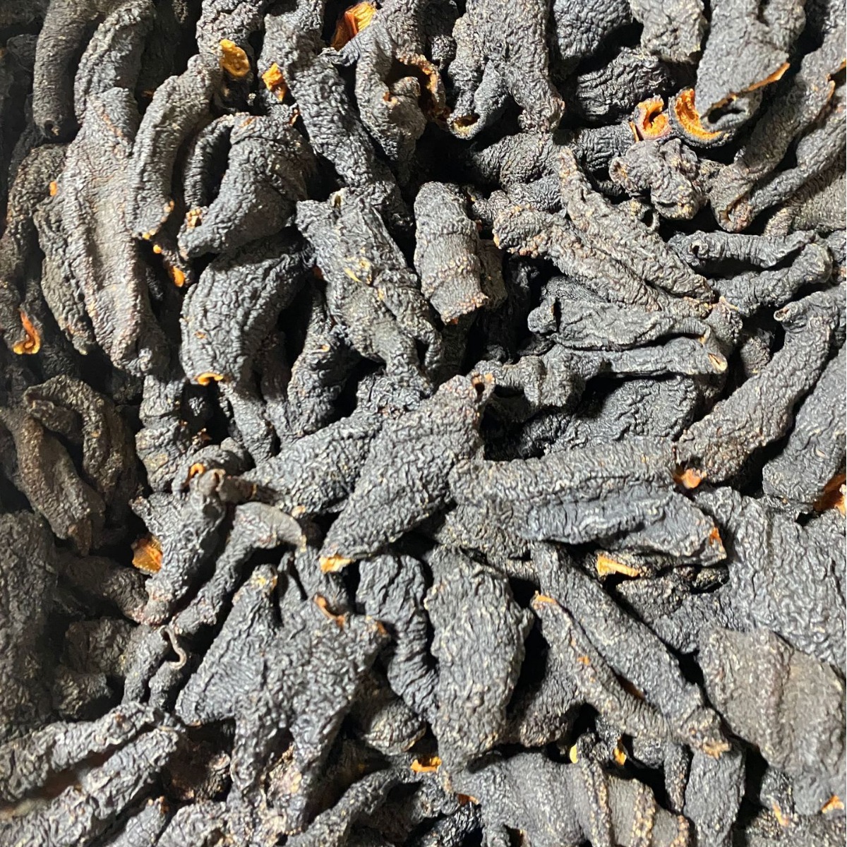 淡干海参皮去筋红极参加拿大俄罗斯黑色酒店食材-阿里巴巴