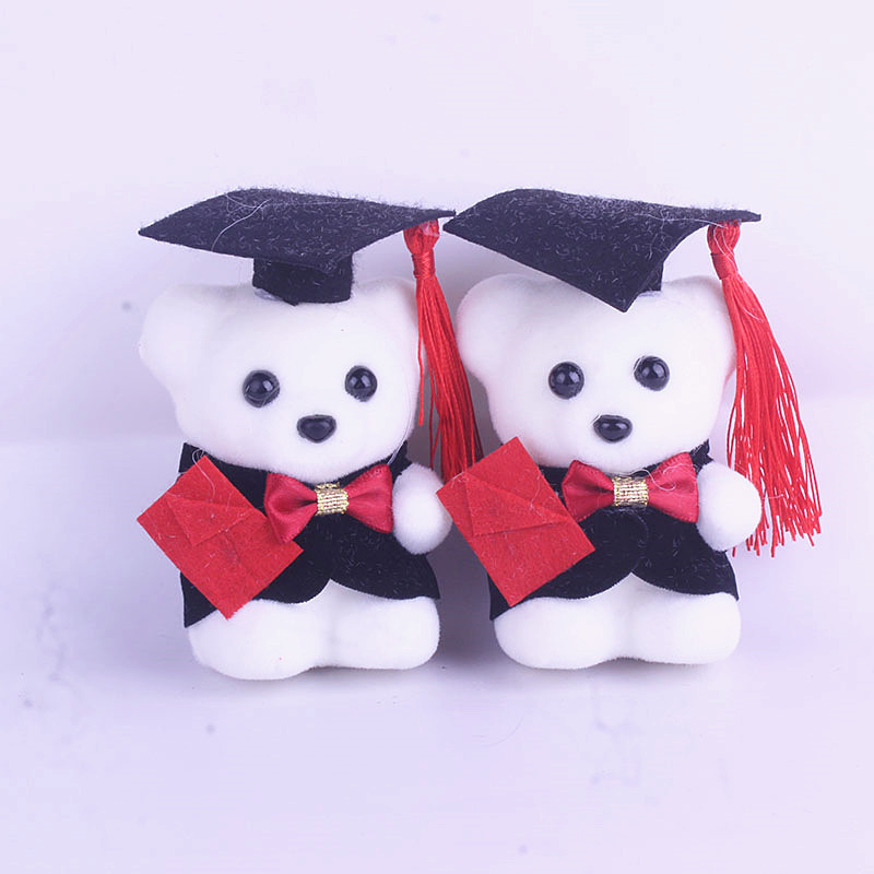 Student Gift Wholesale Graduation Bear Men's and Women's Bear Doctor Bear Doll Teacher's Day Gift Cartoon Doll Bouquet