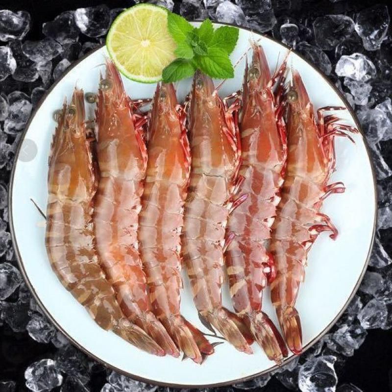 鲜虾湛江野生九节虾基围虾子大虾鲜活速冻斑节虾竹节虾黑虎虾特大
