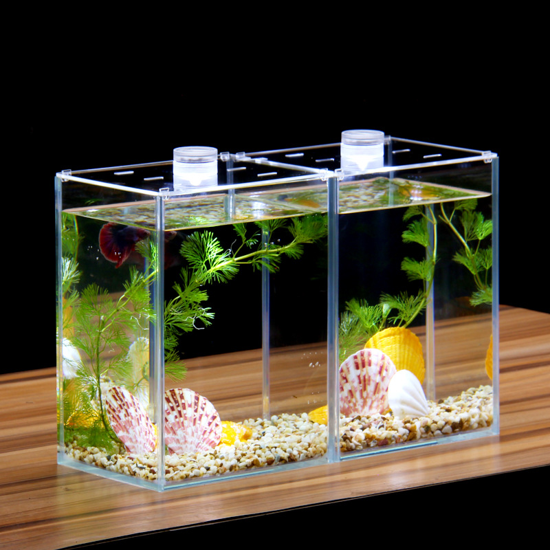 泰国斗鱼缸超白玻璃鱼缸生态斗鱼缸桌面排缸创意斗鱼竹木