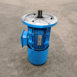 新行吊软启动电机 南京起重总厂行走马达 特种电磁制动起重机电机